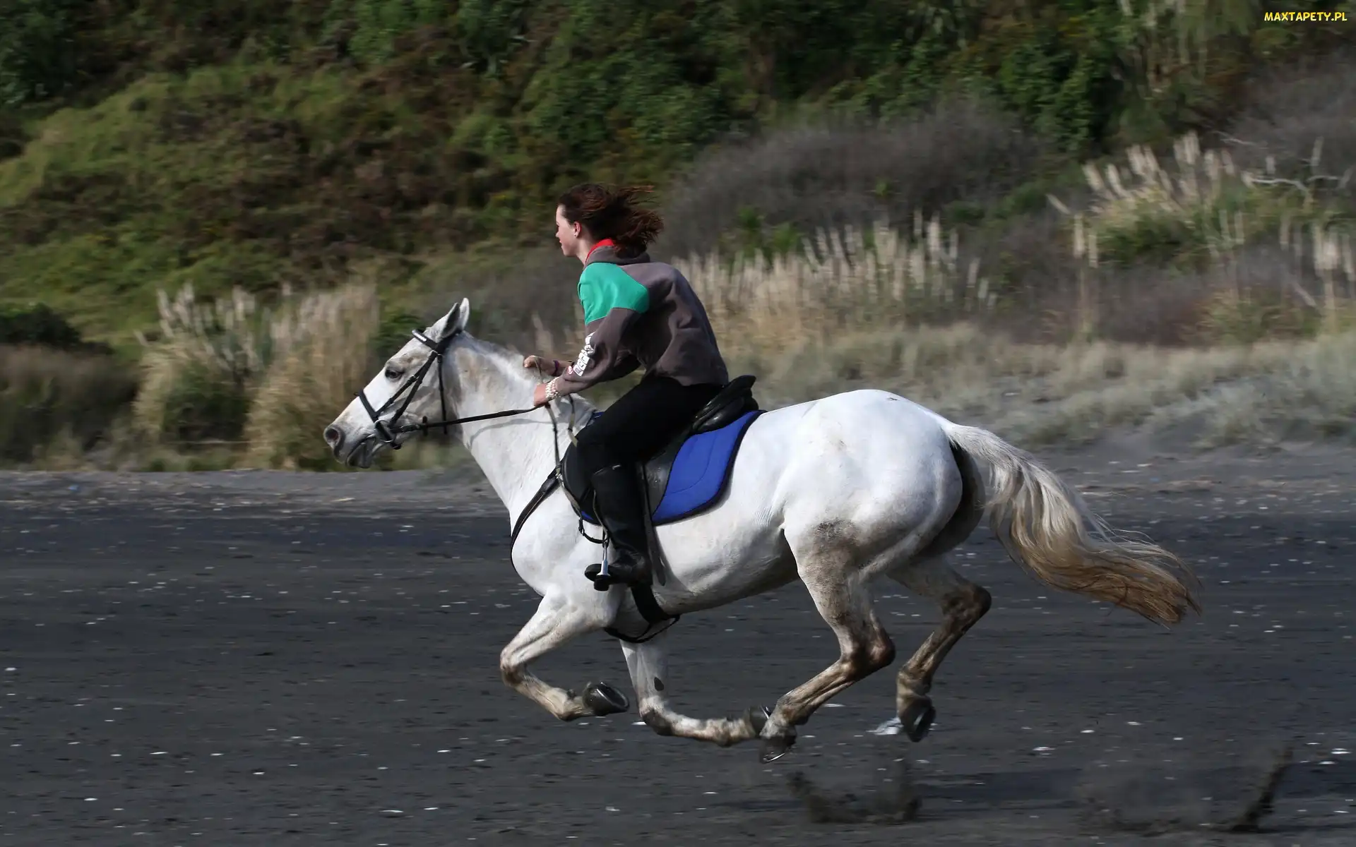 Kobieta, Galop, Koń