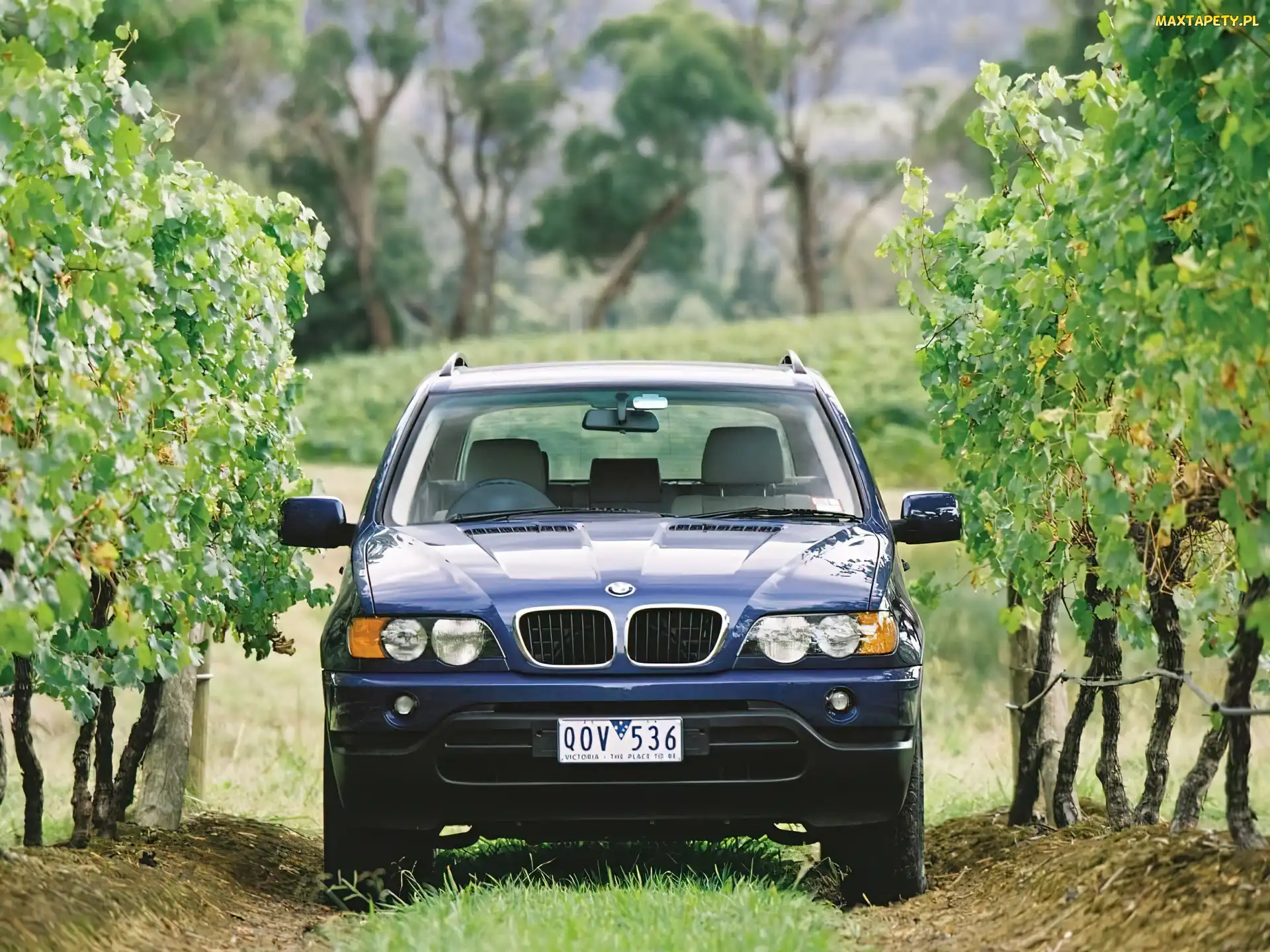 Bmw X5, Przód