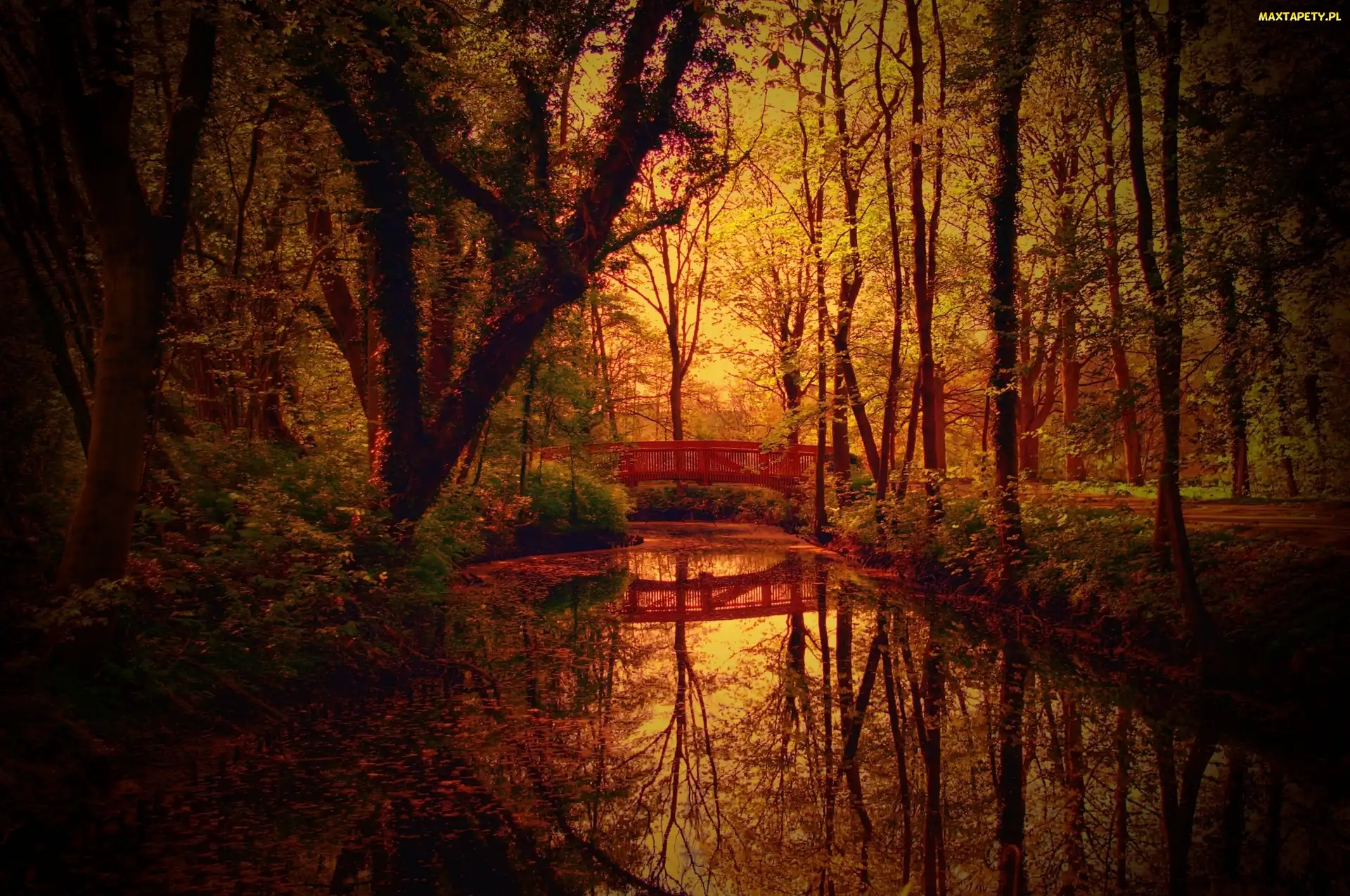 Rzeka, Mostek, Jesień