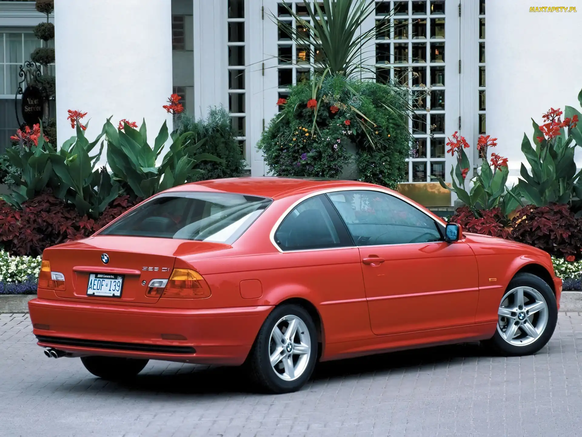 BMW 3, E46, Czerwone