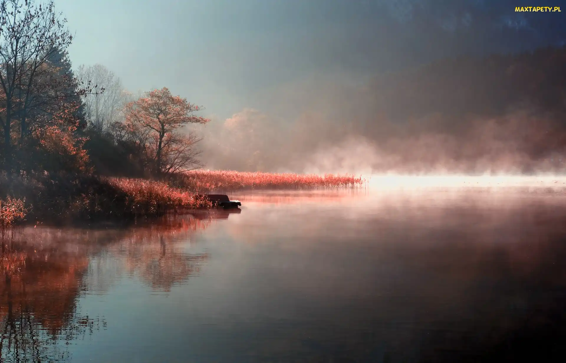Mgła, Drzewa, Jezioro