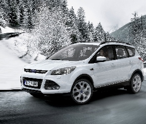 Ford, Kuga