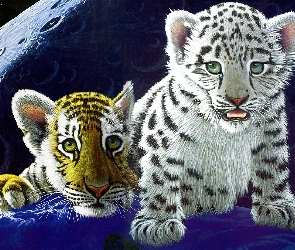 Małe, Tygrysy
