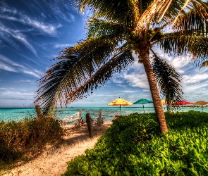 Palmy, Plaża, HDR, Ocean, Tropiki, Wakacje, Parasole