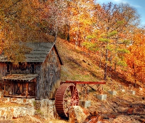 Wodny, Wzgórze, Las, Jesień, Młyn