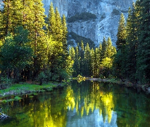 Rzeka, Lasy, Stan Kalifornia, Stany Zjednoczone, Park Narodowy Yosemite, Góry