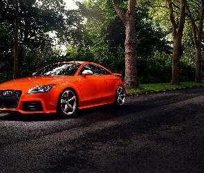 Las, Droga, Pomarańczowe, Audi TT