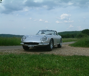 Ferrari 275, Droga, Polna