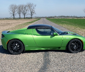 Tesla Roadster Sport