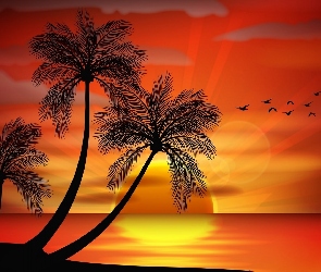 Zachód Słońca, 2D, Palmy, Morze