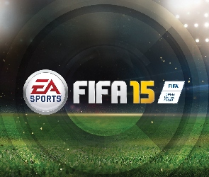 Logo, Fifa 2015