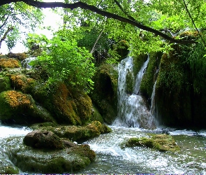 Wodospad, Plitvice, Drzewa, Skały