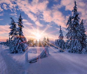 Norwegia, Droga, Wschód Słońca, Poranek, Zima