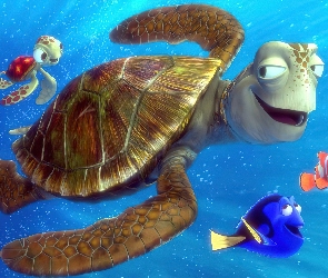 żółw, Finding Nemo, Gdzie jest Nemo, rybki