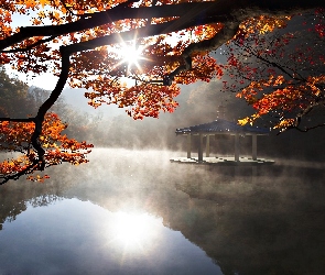 Jesień, Drzewa, Wschód Słońca, Mgła, Poranek, Jezioro