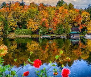 Domek, Jesień, Jezioro, Kwiaty, Park