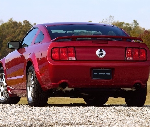 Ford Mustang, Tył