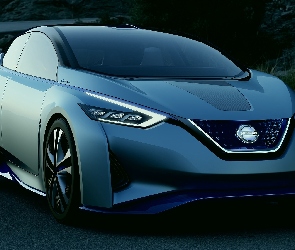 IDS, Droga, Nissan