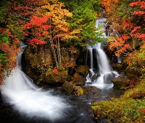 Las, Japonia, Ryuzu, Wodospad, Jesień
