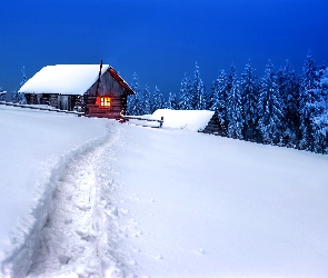 Dom, Śnieg, Ścieżka, Ośnieżone Drzewa, Zima