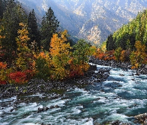 Jesień, Rzeka, Las, Góry