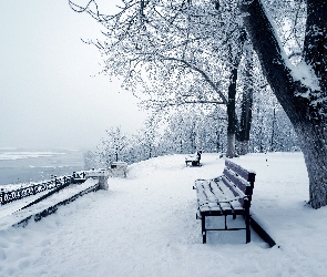 Park, Jezioro, Ławka