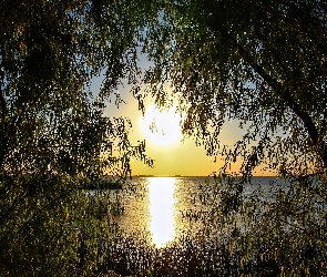 Jezioro, Drzewa, Zachód Słońca