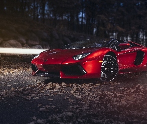 Drzewa, Ulica, Samochód, Lamborghini