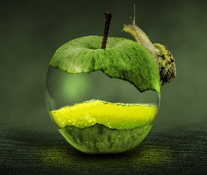 Zielone, Ślimak, Jabłko
