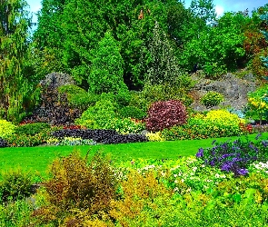 Park, Queen Elizabeth, Kanada, Krzewy, Kwiaty, Vancouver, Drzewa