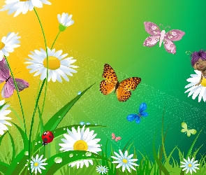 Kwiaty, Biedronka, Motylki
