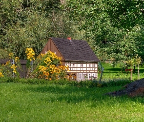Park, Domek