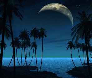 Księżyc, Ciemne, Noc, Fantasy, Palmy, Gwiazdy, Ocean, Niebo