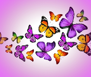 Motylki, 2D, Grafika