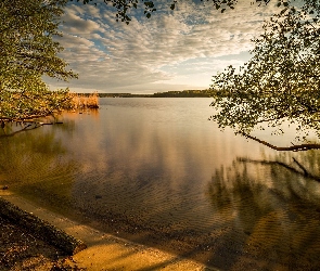 Jezioro, Brzeg, Drzewa, Poranek