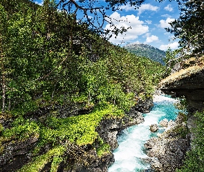 Norwegia, Rzeka, Las, Kanion