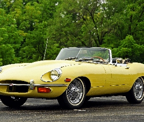 Jaguar e-type 1968