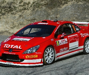 Peugeot 307 WRC