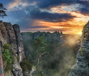 Most, Góry, Skały, Drzewa