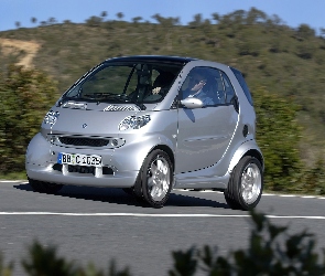 Smart Fortwo, Srebrny