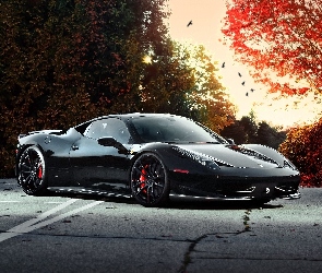 Drzewa, Sportowy, Jesień, Czarny, Ferrari, Droga, 458 Italia, Samochód