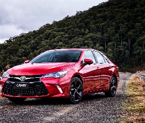 Camry, Samochód, Czerwony, Drzewa, Wzgórze, Droga, Las, Toyota
