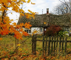Jesień, Liście, Płot, Drzewa, Stara Chata