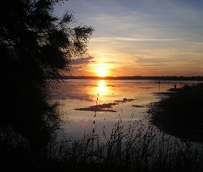 Roślinność, Drzewa, Jezioro, Zachód słońca