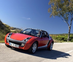 Czerwony, Smart Roadster