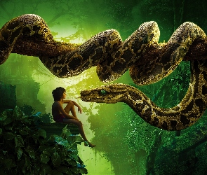 Chłopiec, The Jungle Book, Skały, Księga Dżungli, Wąż