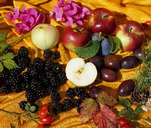 Kompozycja, Owoce, Ziarna Słonecznika, Jeżyny, Śliwki, Jabłka