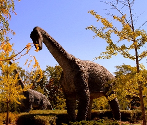 Park, Niagara Falls, Drzewa, Dinozaurów