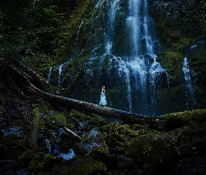 Wodospad, Kobieta, Mech, Drzewa