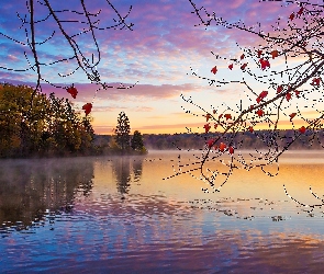 Słońca, Wschód, Lasy, Jesień, Kaczki, Jezioro, Mgła